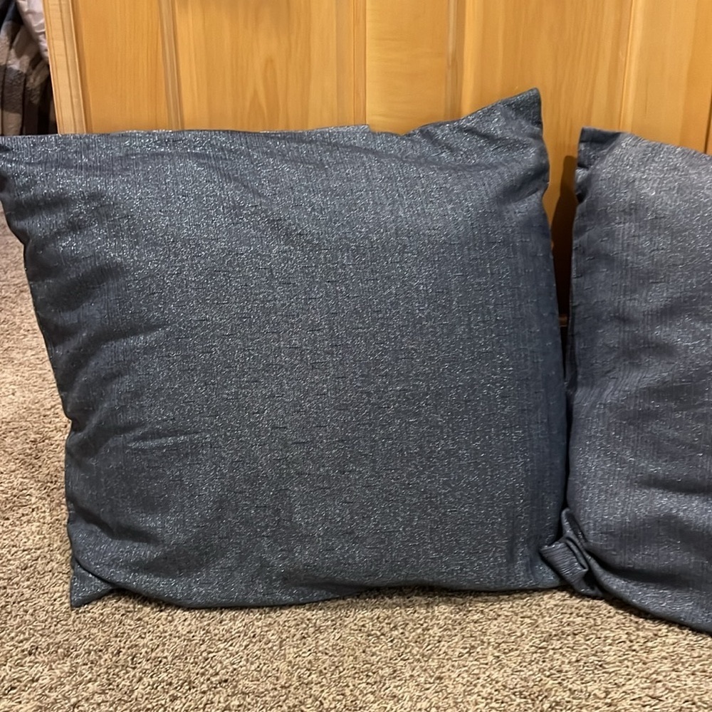 Three (3) Calvin Klein Euro Shams with Inserts